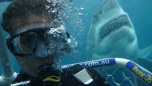 6ff69bfb49630b6b0b83a8189421b91b