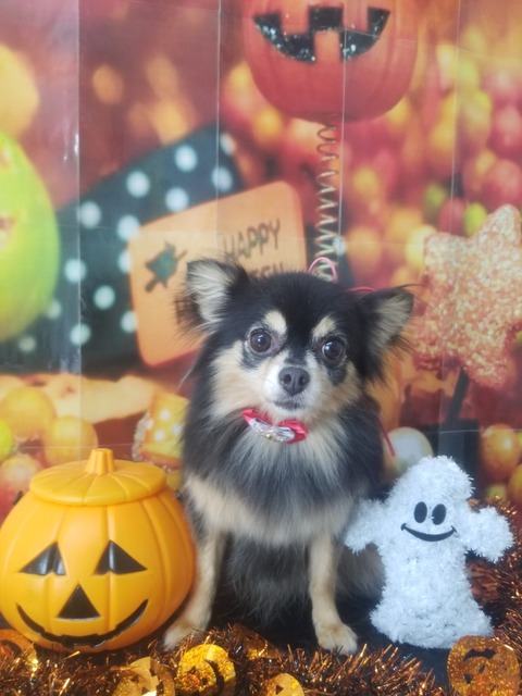 20181013_105317
