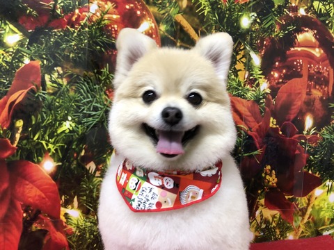 kuru