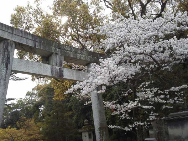 長崎への旅2