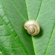 308a847b.jpg