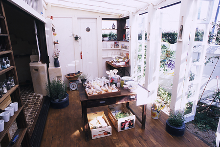 niwacoya003