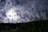 672f87df.jpg