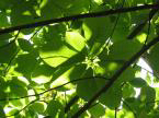 b76080e5.jpg