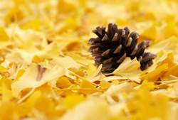 e8793fa6.jpg