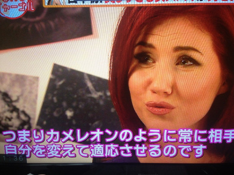 アンナ・チャップマン04