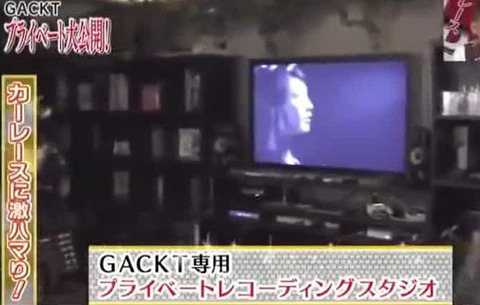 ガクト 収入源 (5)