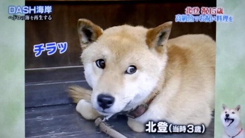 北登