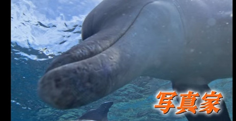 鈴木あやの (1)