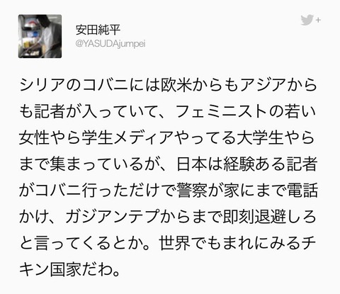 安田純平
