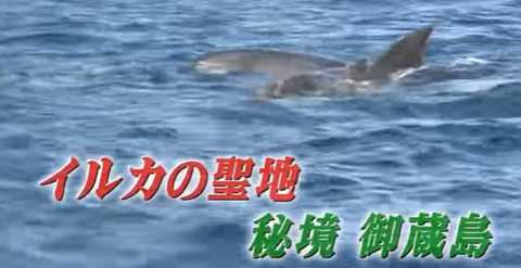 鈴木あやの11