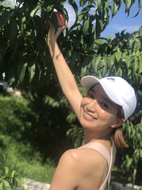 芹那1