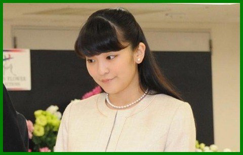 小室圭3