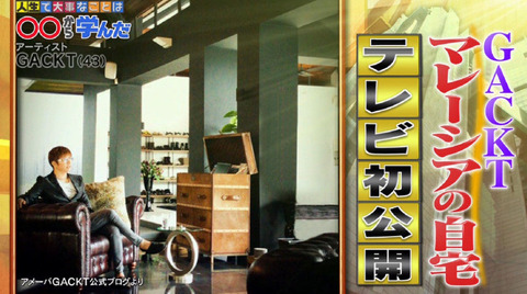 ガクト 収入源 (2)