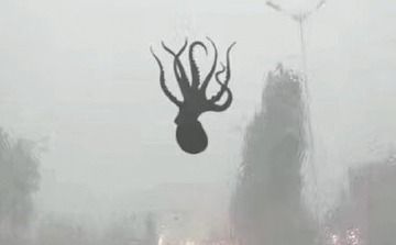 【速報】中国の豪雨がヤバい。空からタコやエビなど海鮮が降る事案が発生