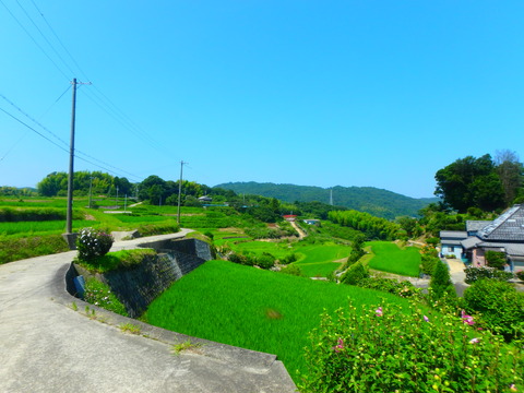 P7152289