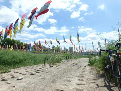 P5051018