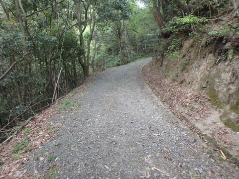 P5050900
