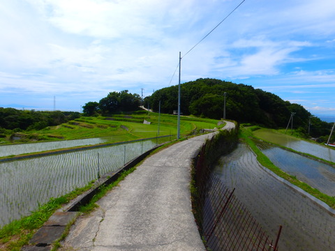 P6182112