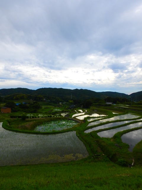 P6182267