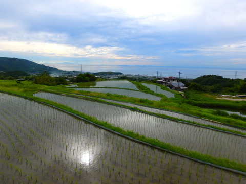 P6182217