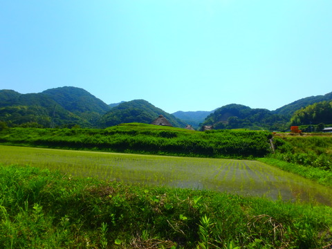 P7152281