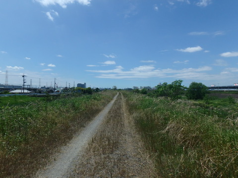 P5050982