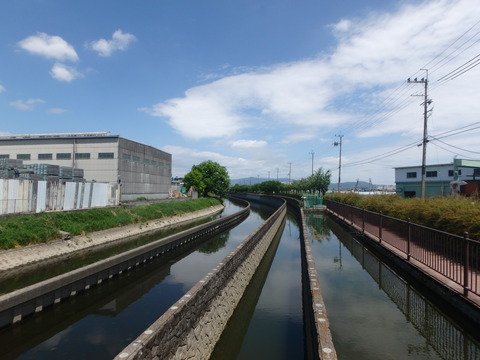 P5050978