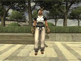 陰陽ネコ1