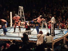 みちのくプロレス14