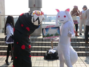 763211c6.jpg