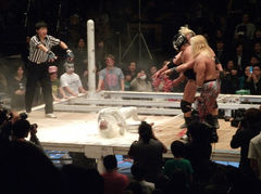 みちのくプロレス6