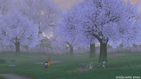 sakura