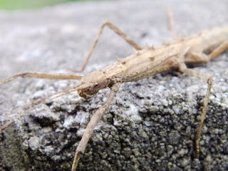 DSCF2307-001