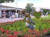 d9040b9e.jpg