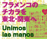 ulm-banner