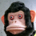 warakaiprof179