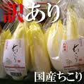 warakaiprof58