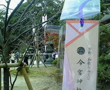 41e599ef.jpg