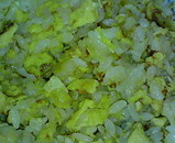 bc9a0943.jpg