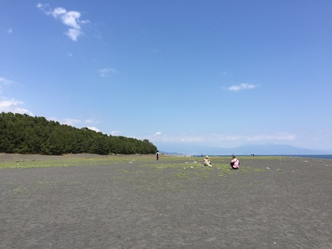 2017-04-23-12-04-27