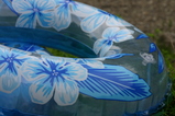 �ס���