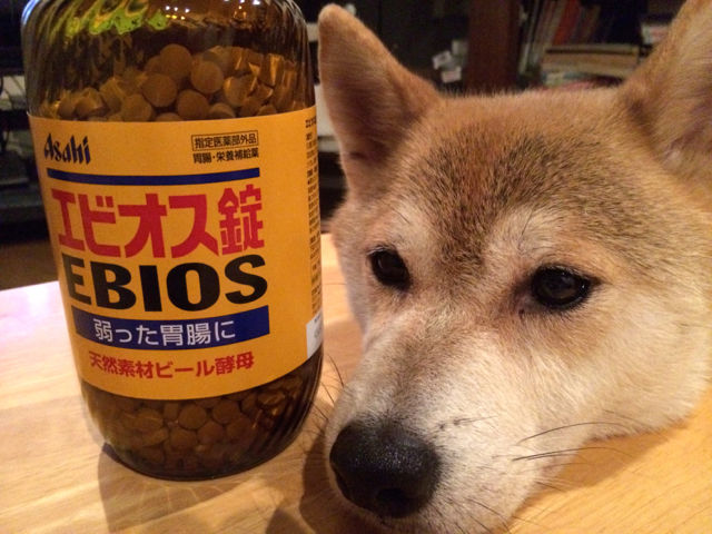 ふぃらえい1