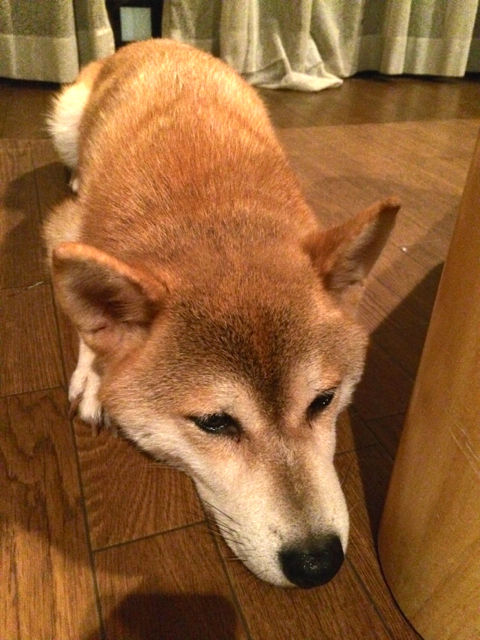 ふぃらえい2