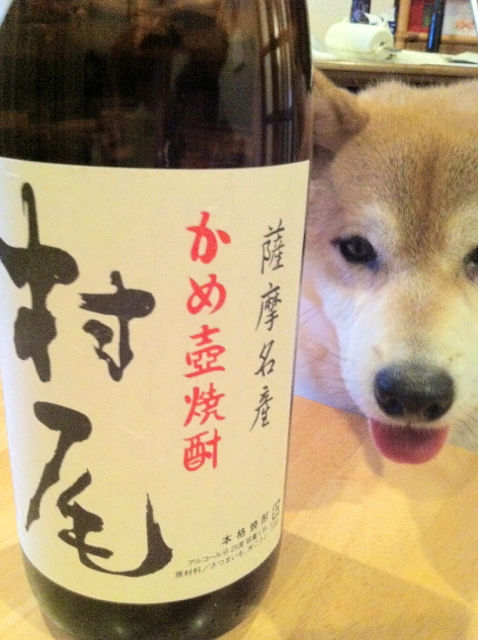 こてつとこすずの1