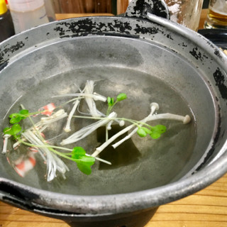 さば - 8