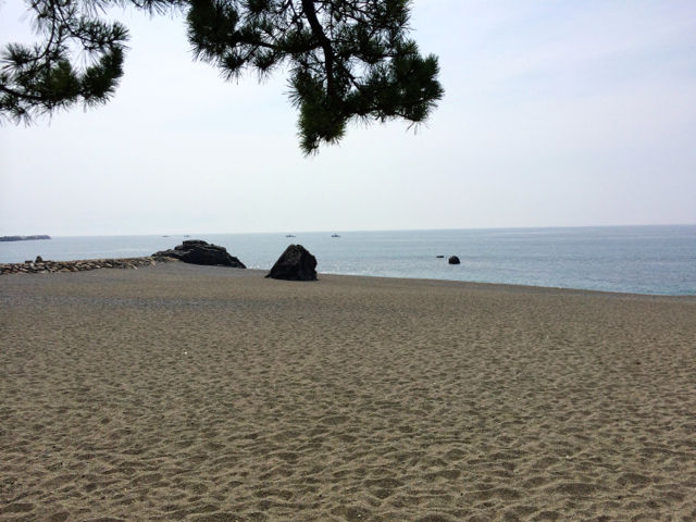 こうち20