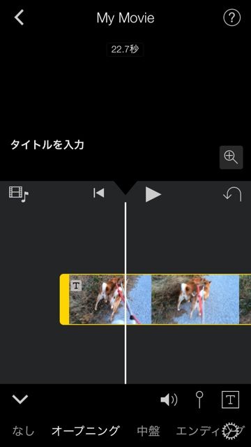 あいむー1