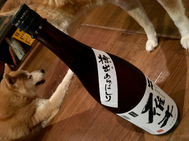 が - 1