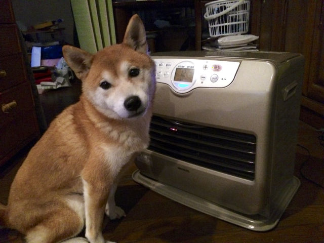 こ1